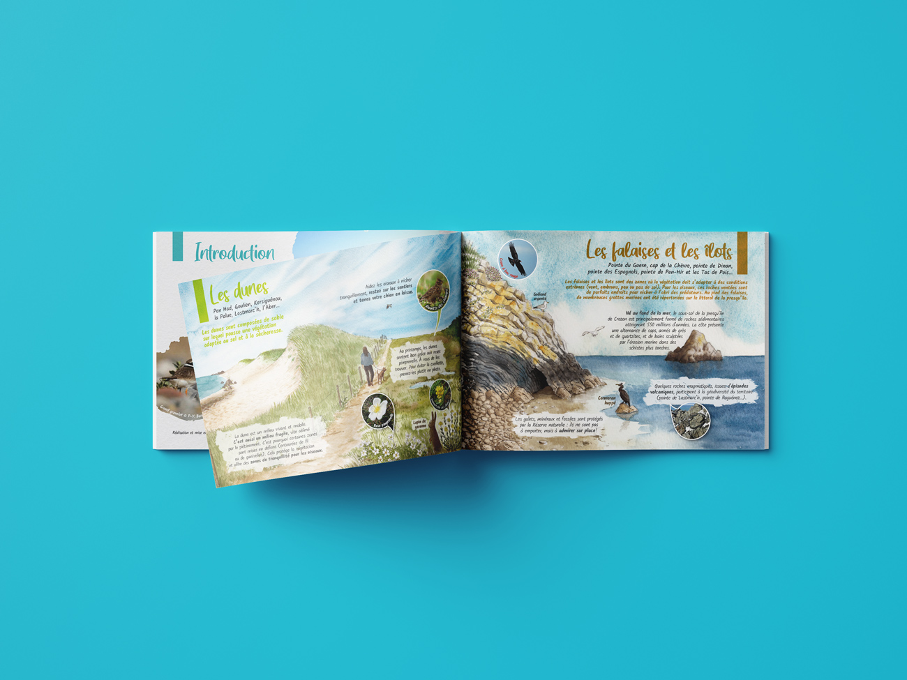Pages du guide découverte des espaces naturels de la presqu'île de Crozon